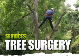 TREE SURGERY SERVICES: